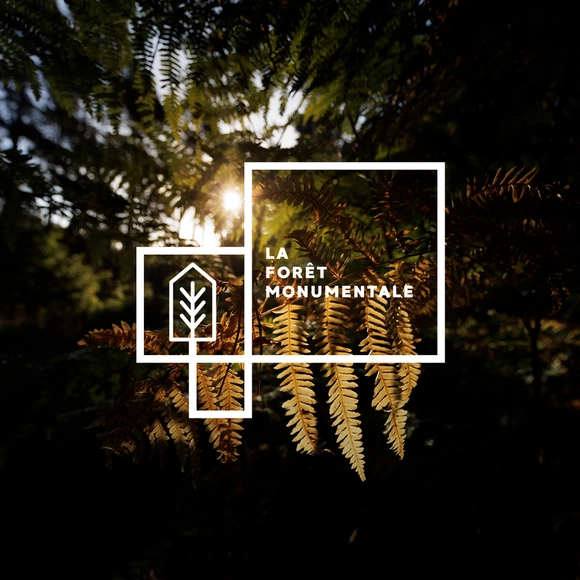 2° Forêt Monumentale: Concurso para la creación de 9 obras monumentales en Francia - Imagen Principal