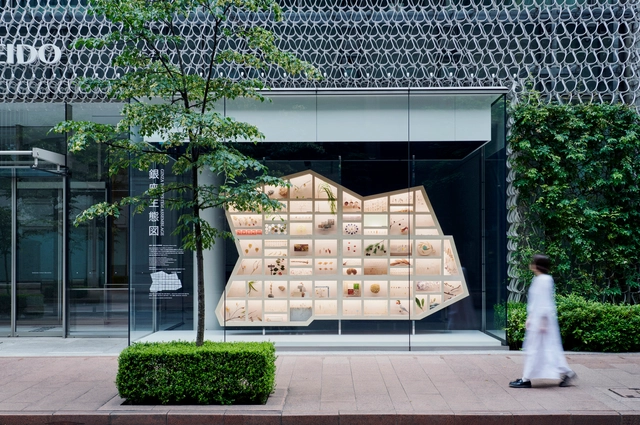 城市自然橱窗，银座生态地图  / Hakuten Corporation - 建筑图, 临时装置, 花园, 表皮, 门