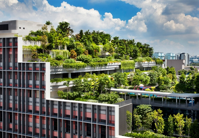 What is Regenerative Architecture? Limits of Sustainable Design, System Thinking Approach and the Future - Featured Image