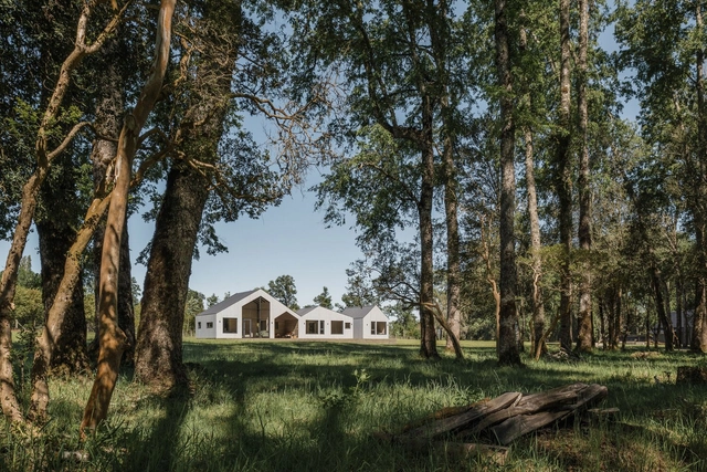 Casa tres cumbres / Estudio Gutiérrez Irribarren - Fotografía exterior, Casas, Jardín, Bosque