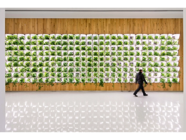 Building Calories: Moving Beyond Greenwashing to Investigate the Value of Living with Plants - Featured Image