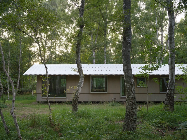 Casa entre abedules  / Kim Lenschow + pihlmann architects - Fotografía exterior, Casas, Puerta, Fachada, Bosque