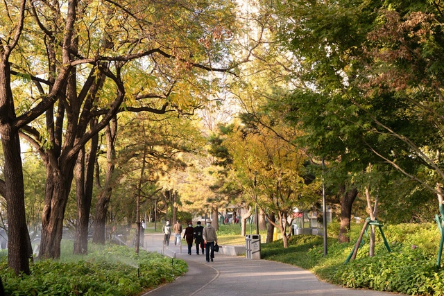 北京中关村大街城市客厅提升改造 / 本色营造 - 建筑图, 城市 & 土地利用规划, 花园, 森林