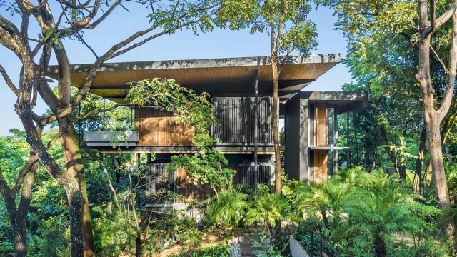 Casa Árvore Tropical / Studio Saxe - Fotografia de Exterior, Casas, Jardim, Fachada, Floresta