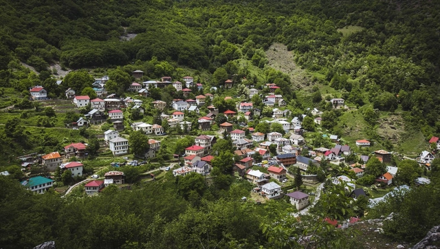 Como florestas beneficiam as pessoas que vivem nas cidades - Imagem de Destaque