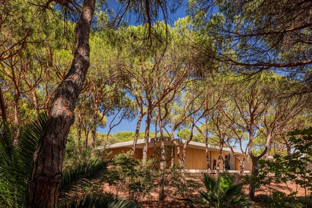 Casa en Praia Verde / Atelier Central Arquitectos - Fotografía exterior, Casas, Jardín, Fachada, Bosque