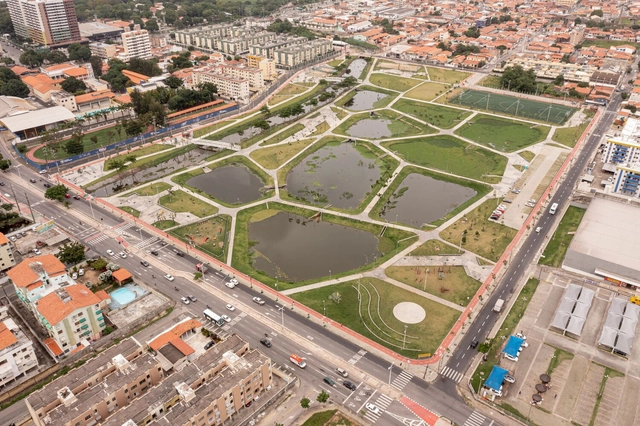 Arquitectura y ecología: Sobre restaurar (y crear) humedales  - Imagen Principal