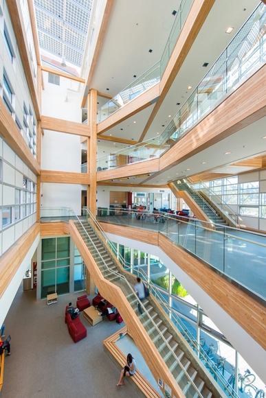 Understanding Whole Building Life Cycle Assessment for a Better Architecture - Featured Image