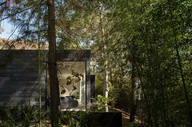 Urban Oasis - Hotel Room / Natan Gil Arquitetura - Exterior Photography, Detail, Garden, Facade, Arch, Forest