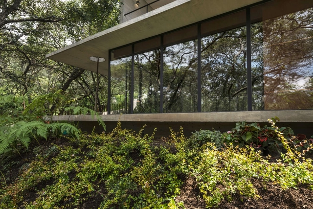 AYG House / Miguel de la Torre - Exterior Photography, Houses, Garden, Facade, Forest