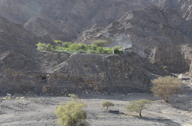 UAE Pavilion at the Venice Biennale Explores Abundance in Arid Environments - Featured Image