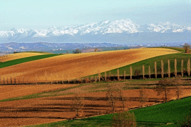 Start-up operating in the proptech sector seeks co-founder - Featured Image