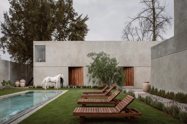 Casa Mate  / Araujo Galván Arquitectos - Fotografía exterior, Vivienda Colectiva, Jardín, Fachada