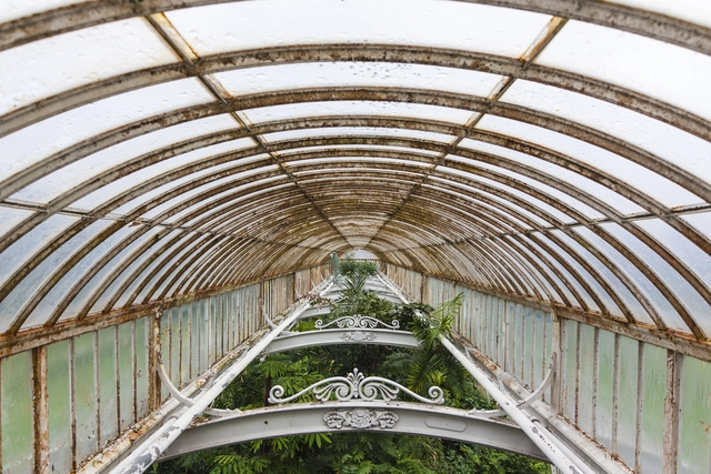 The Cultural Significance of Greenhouses: A Complicated Identity  - Featured Image