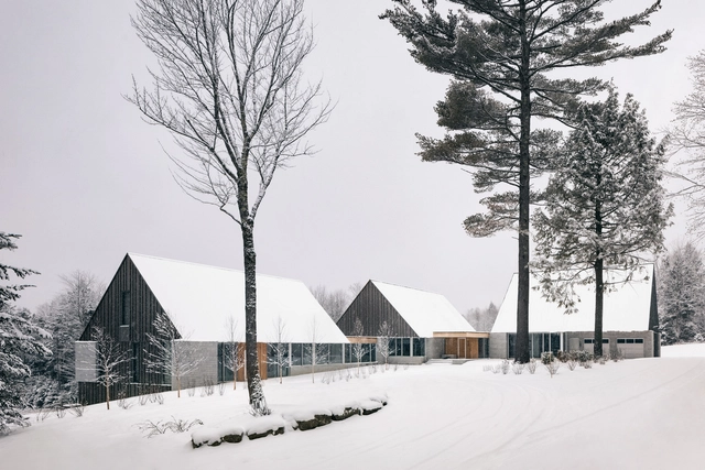 Three Summits Residence / NÓS - Drawings, Houses, Forest