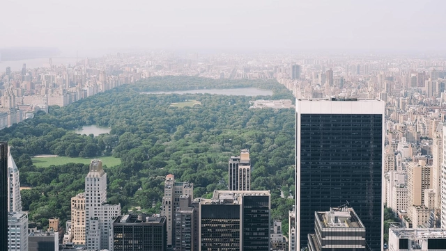 O que são infraestruturas vivas? - Imagem de Destaque