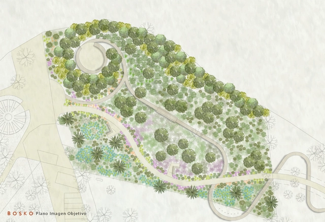 Bosque nativo, el paisajismo que las ciudades necesitan - Sustentabilidad