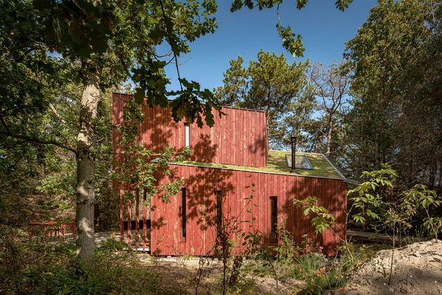 Refuge Forest Cabin Vlieland / Studio Brandvries - Exterior Photography, Houses, Facade, Door, Forest