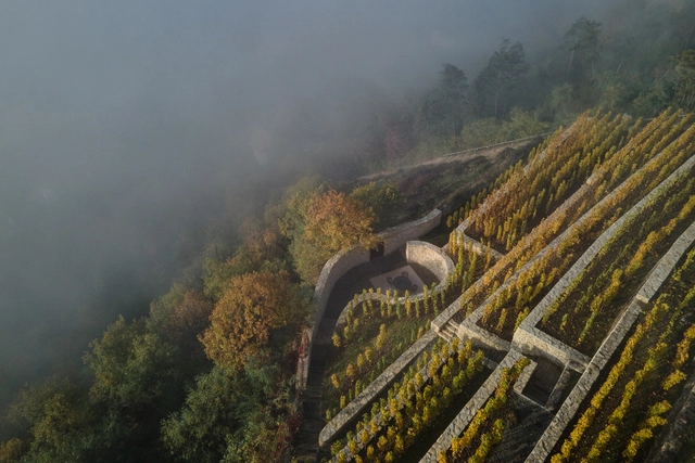 Fibonacci / Marco Maio Architects - Exterior Photography, Landscape, Forest
