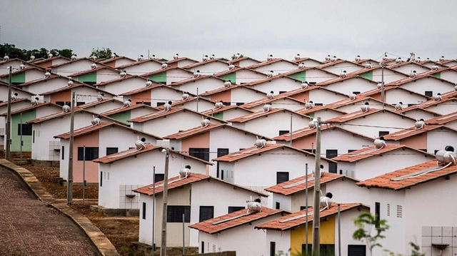 Novo Minha Casa, Minha Vida abre oportunidade de qualificação de territórios precários com governança compartilhada - Imagem de Destaque