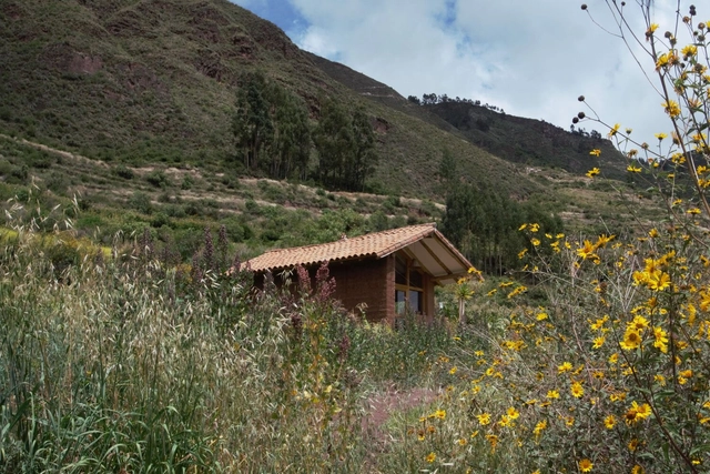 Cabaña Feliciana / Taller MACAA - Fotografía exterior, Casas, Bosque