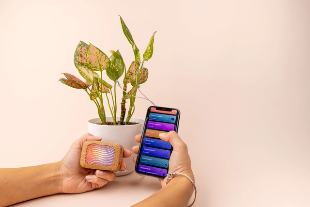 Converting Plant Biorhythms into Real Time Music for Indoor Environments - Featured Image