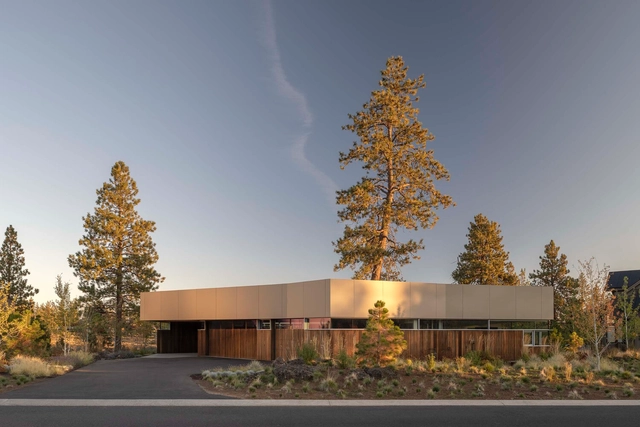Casa M1 / FRPO Rodriguez & Oriol - Fotografía exterior, Casas, Fachada, Bosque