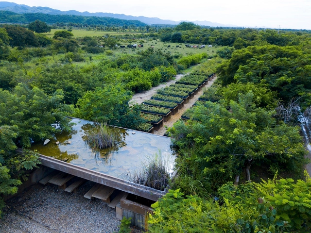 愈疮木之亭 / Ambrosi I Etchegaray - 建筑图, 温室, 花园, 森林