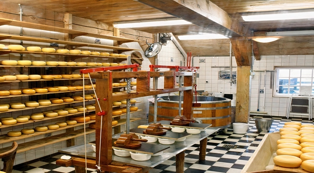 Queijo Minas poderá ingressar na lista de Patrimônio Cultural Imaterial da Humanidade  - Imagem de Destaque