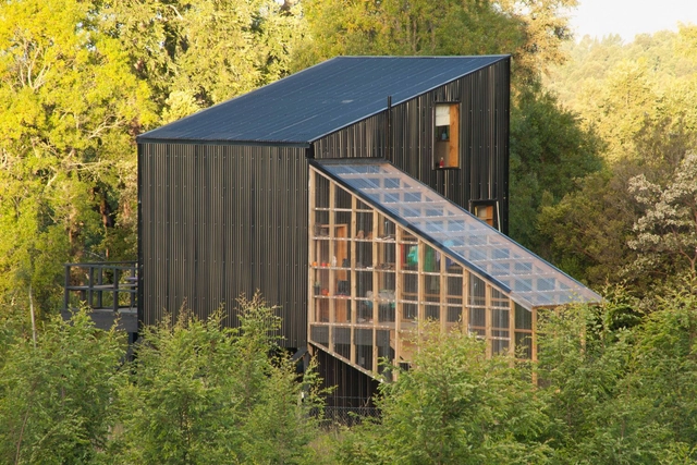 Refugio Lefun / Abarca Palma Arquitectos - Fotografía exterior, En Detalle, Bosque