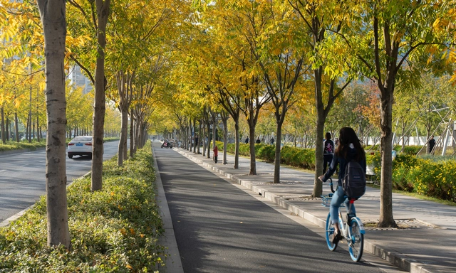 Twenty Years of Transforming Transportation: Where Are We Now? - Featured Image