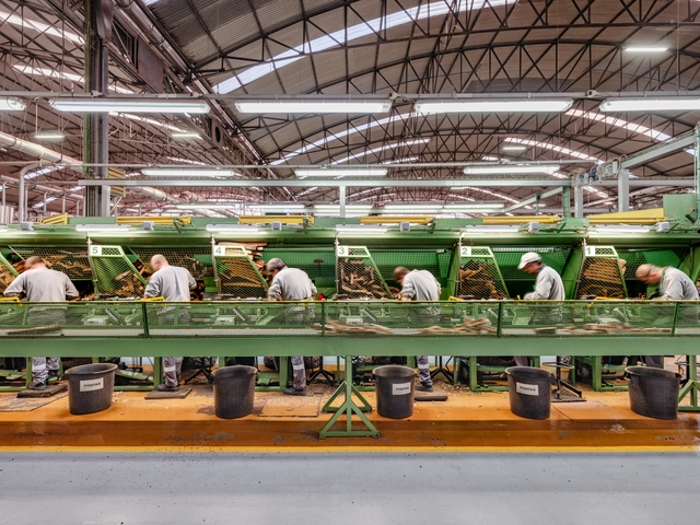 Foodscapes, el pabellón de España en la Bienal de Arquitectura de Venecia 2023: “Al comer, digerimos territorios” - Imagen Principal