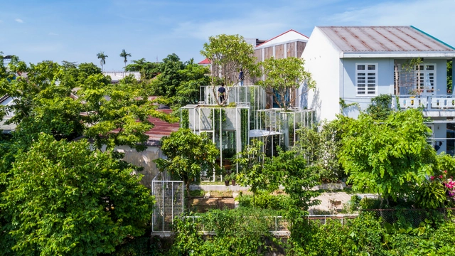Casas tropicales: Un diálogo entre la naturaleza y el entorno construido - Imagen Principal
