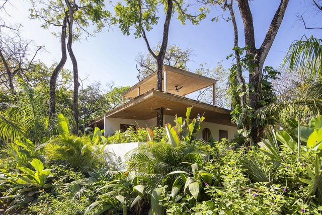 Oficinas Outpost / LOOP Design Studio - Fotografía exterior, Interiores De Cowork, Jardín, Fachada, Bosque