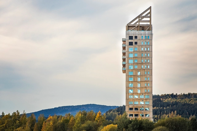 What Is Mass Timber? - Featured Image
