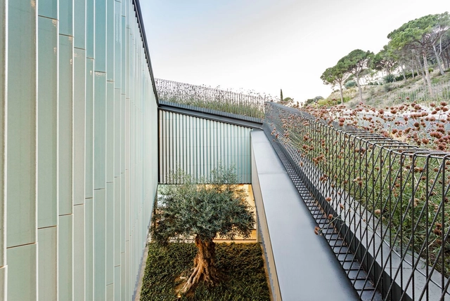 ¿Cómo son los patios interiores de las casas españolas? 10 Ejemplos en el diseño y la arquitectura contemporánea - Imagen Principal