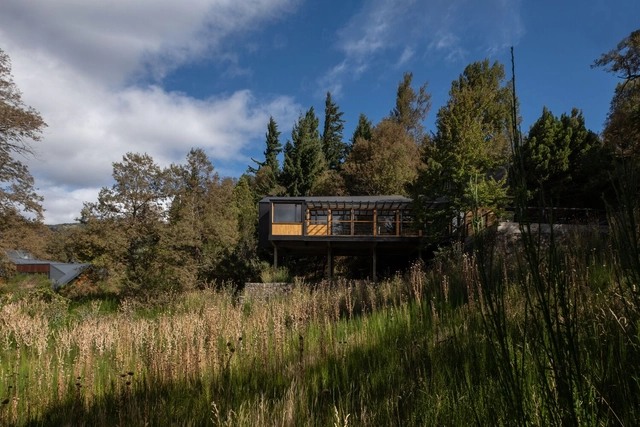 Casa Sosa / 40Sur Arquitectura - Fotografía exterior, Casas, Bosque