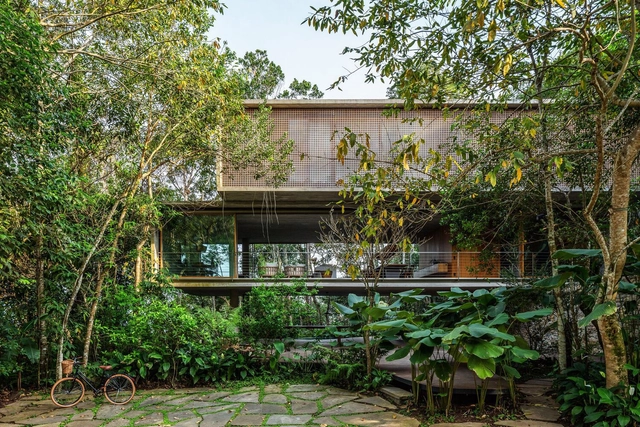 Selva de pedra: casas que exploram o contraste do concreto na vegetação - Imagem de Destaque