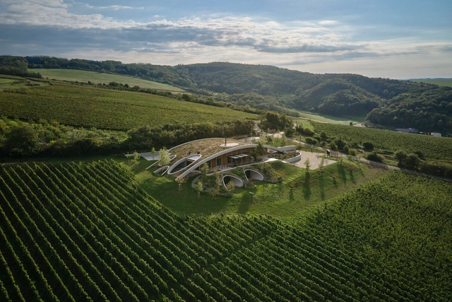 Gurdau Winery / Ales Fiala - Exterior Photography, Sustainability & Green Design, Forest