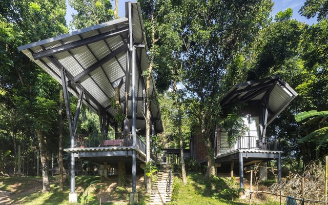Casa de Veraneio 'Neer'  / Janus Architects - Fotografia de Exterior, Casas, Jardim, Escada, Floresta