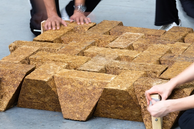 De los residuos agrícolas a las estructuras sostenibles: Alternativas al hormigón fabricadas con caña de azúcar - Imagen Principal