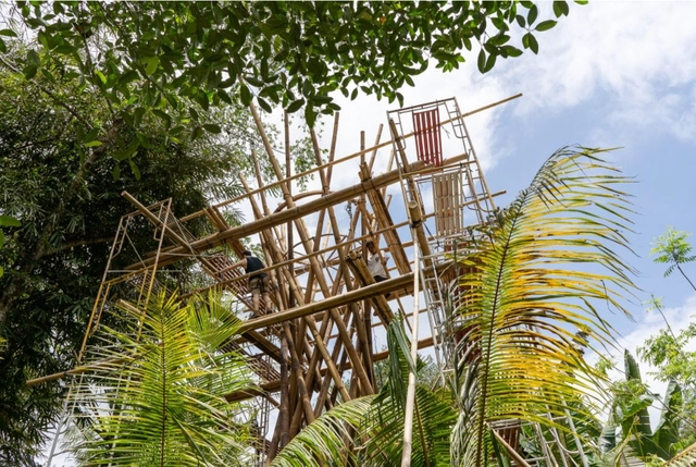 Cómo construir con bambú: 4 sistemas estructurales básicos - Imagen Principal