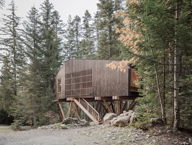Dos cabañas sobre pilotes / Cyril Chênebeau - Fotografía exterior, Residencial, Bosque