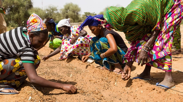 O papel da arquitetura e do urbanismo no combate aos fenômenos de desertificação e seca - Sustentabilidade