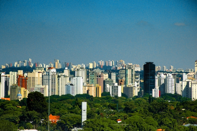 Quanto mais gente, menos árvores? - Imagem de Destaque