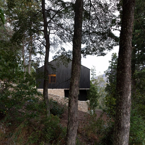 Casa Plaza / Grimaldi - Nacht arquitectos - Fotografía exterior, Casas, Bosque