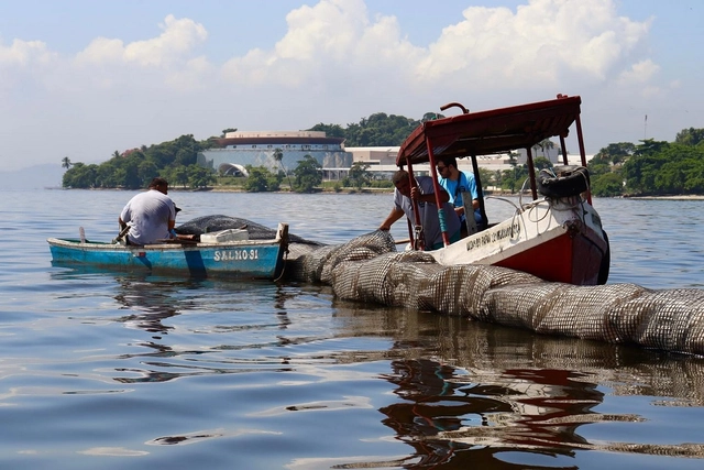 Barreira para conter lixo é instalada na Baía de Guanabara - Imagem de Destaque