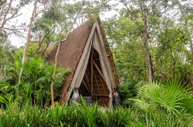 Hotel Bardo / Taller de Arquitectura Viva - Exterior Photography, Hotels, Garden, Forest