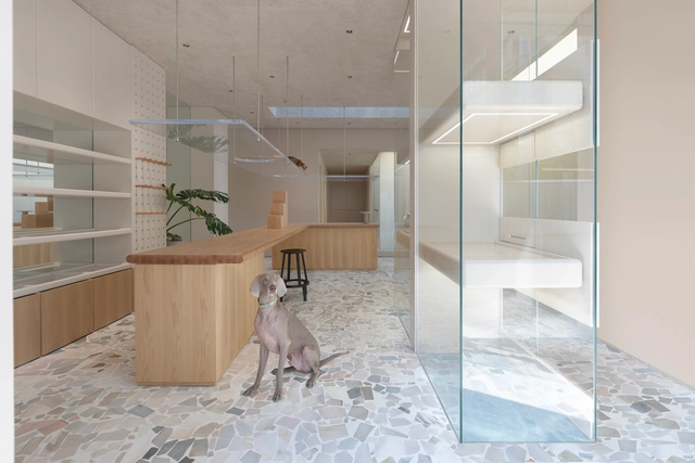 Pet Shop e Spa Paw / Office AIO - Fotografia de Interiores, Abrigo Animal, Fachada