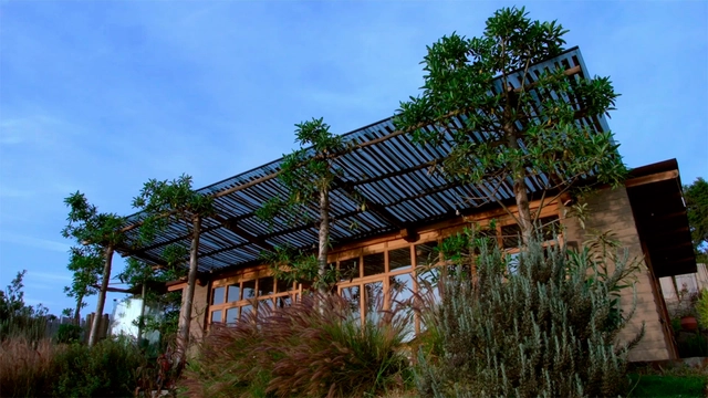 Construindo com árvores vivas: a história por trás da Casa Jardín - Imagem de Destaque
